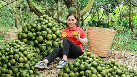 Cách Khởi Nghiệp Kiếm Tiền Bán Thời Gian Dành Cho Người Mới_Hiệu quả tiếp thị kỹ thuật số kênh